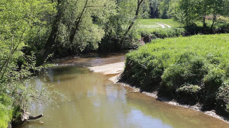 A river flowing through a forested area with lush greenery and a dirt path in the background.