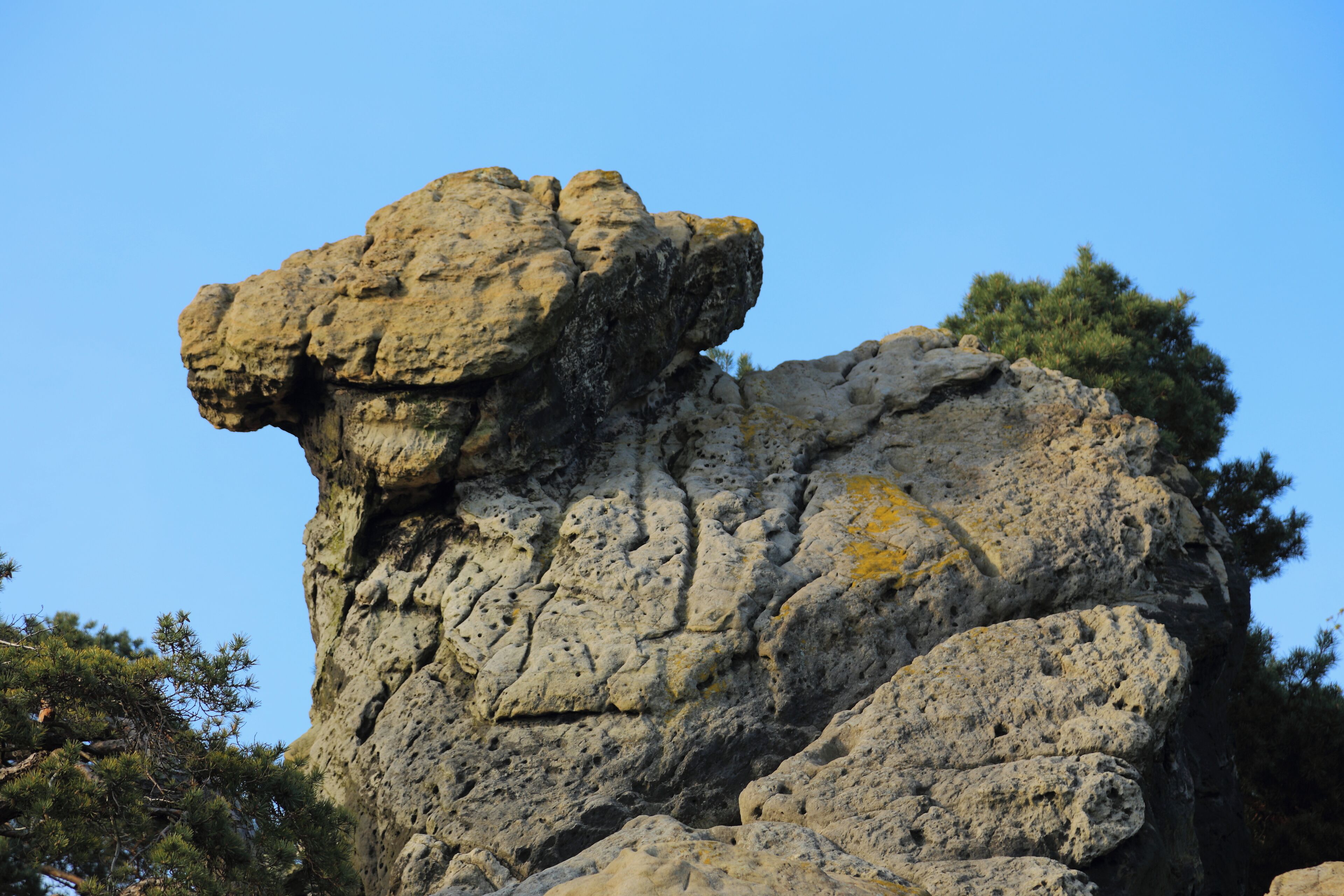 This is a picture of the protected area listed at WDPA under the ID