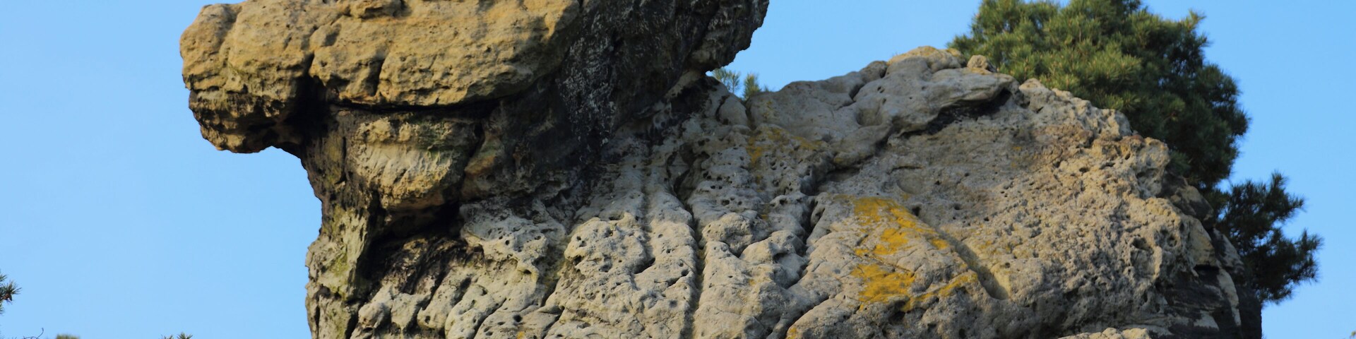 This is a picture of the protected area listed at WDPA under the ID