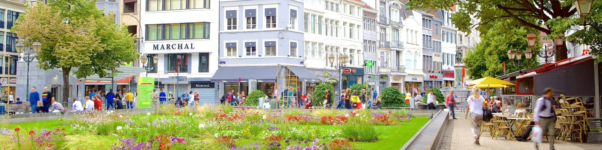 Liege featuring a garden, street scenes and flowers