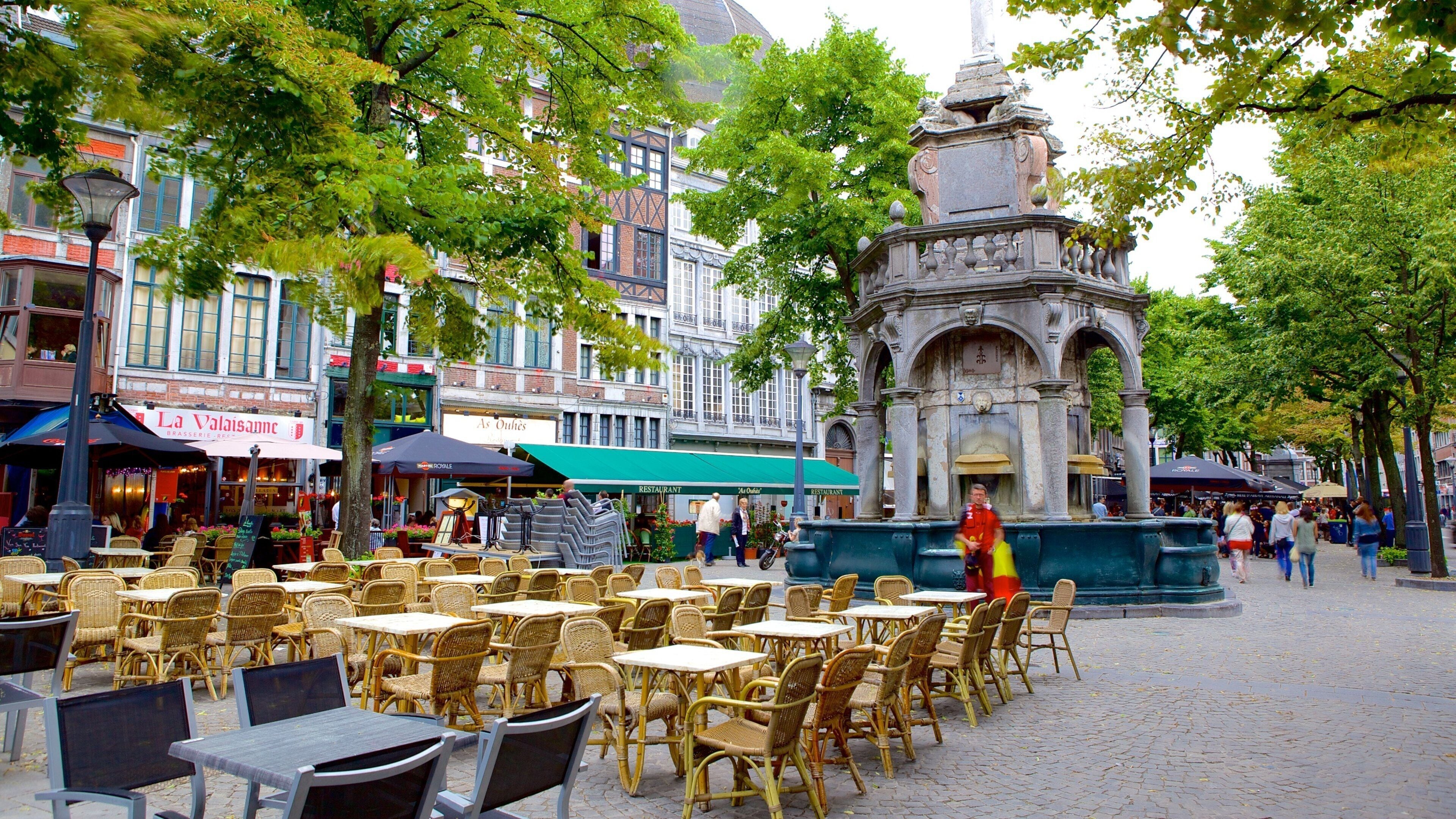 Liege Province featuring street scenes and a city