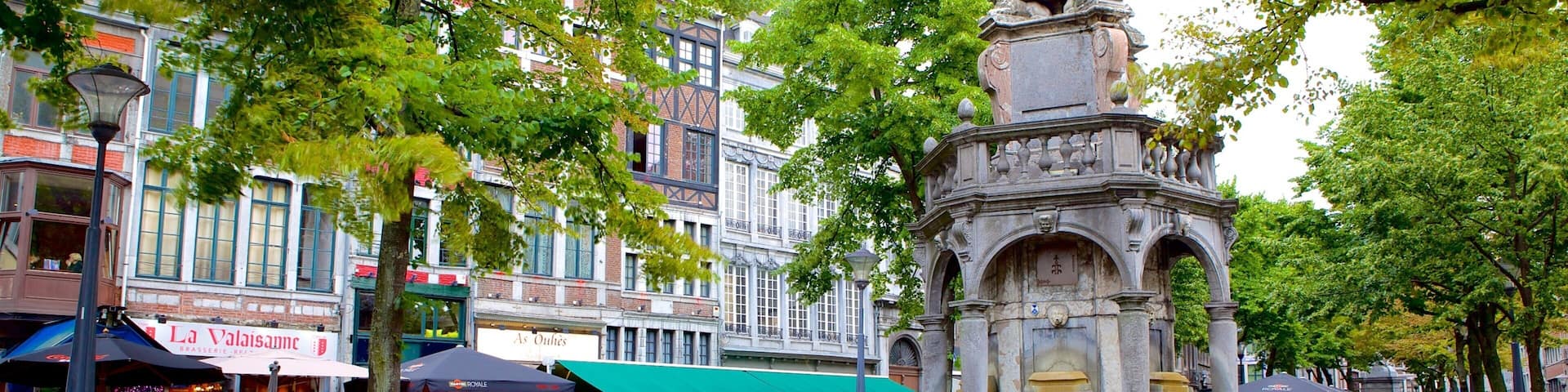 Liege Province featuring street scenes and a city