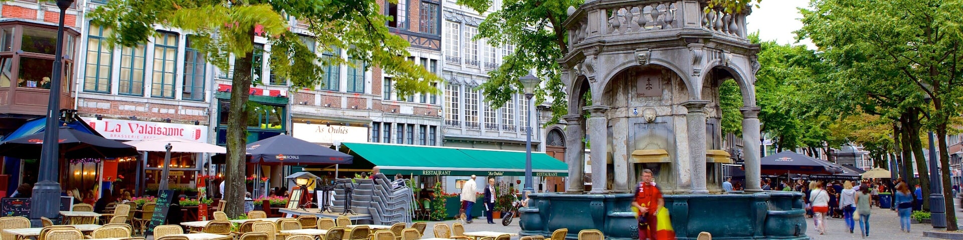 Liege Province featuring street scenes and a city