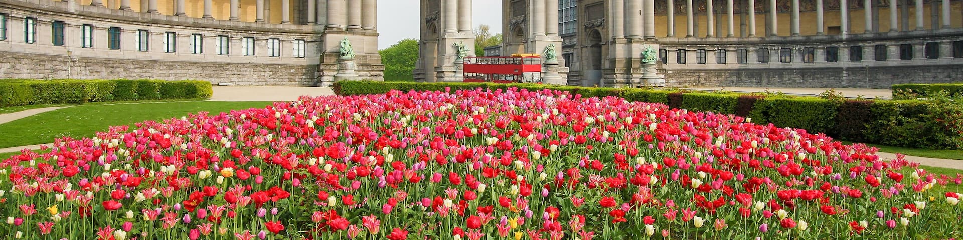 A grand building with a central archway and a field of vibrant tulips in the foreground.