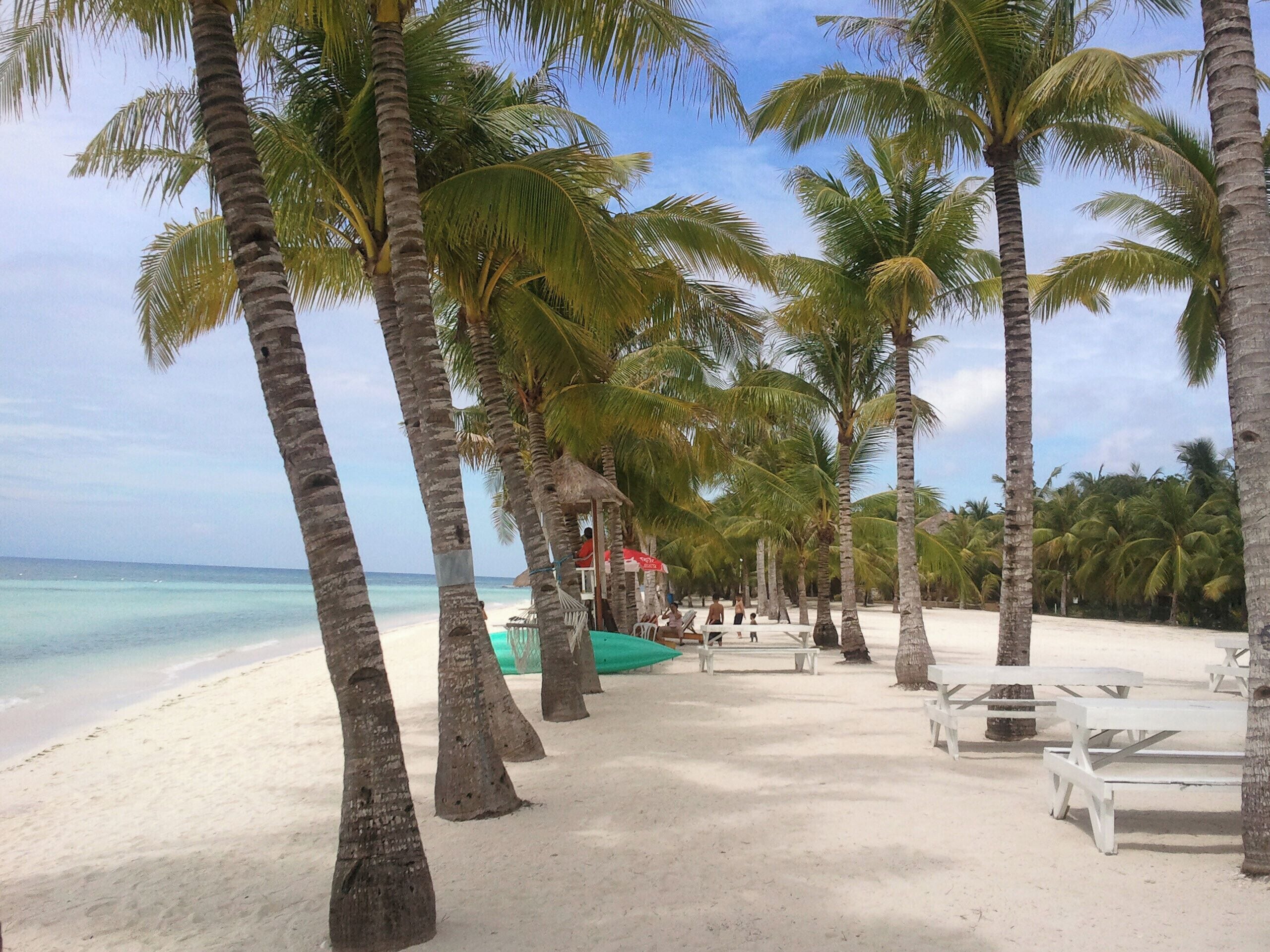 Top Things to Do in Bohol: Ultimate 15-Day Family-Friendly Travel Guide