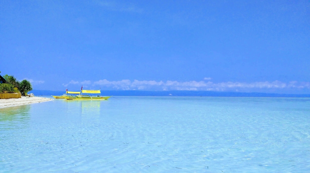 Small island off the Coast of Bohol, Phillipines in the Central Visayas, Isola di Francesco formerly Virgin Island can be reached by boat with a short trip from the well known White Beach of Alona. It is surrounded by crystal clear waters and soft white sand. #BeachBound