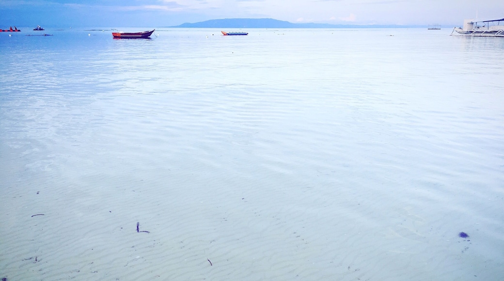 Bellevue resort
Bohol Philippines