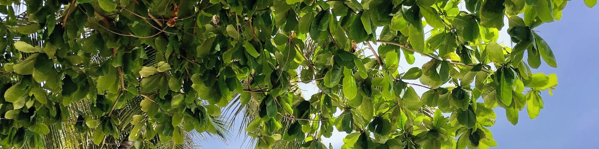 Nice beach with lots of cafe and bars