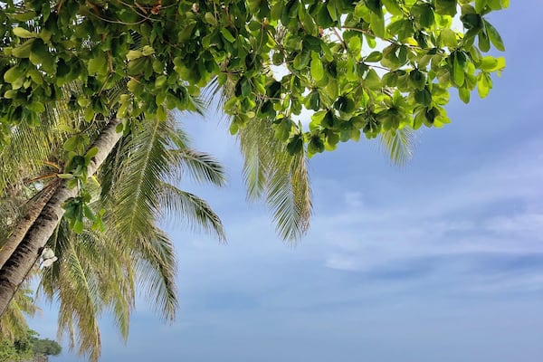 Nice beach with lots of cafe and bars