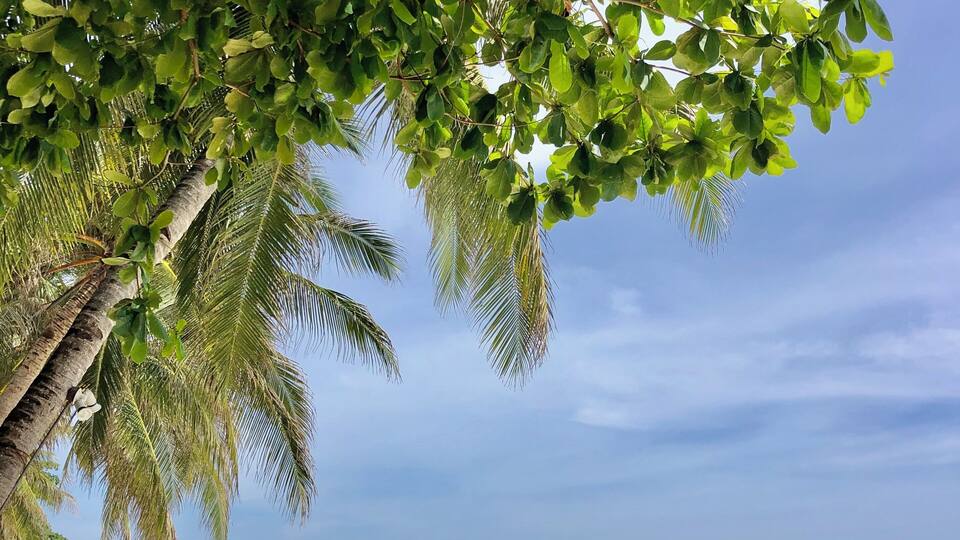 Nice beach with lots of cafe and bars
