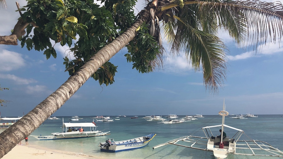 Alona Beach