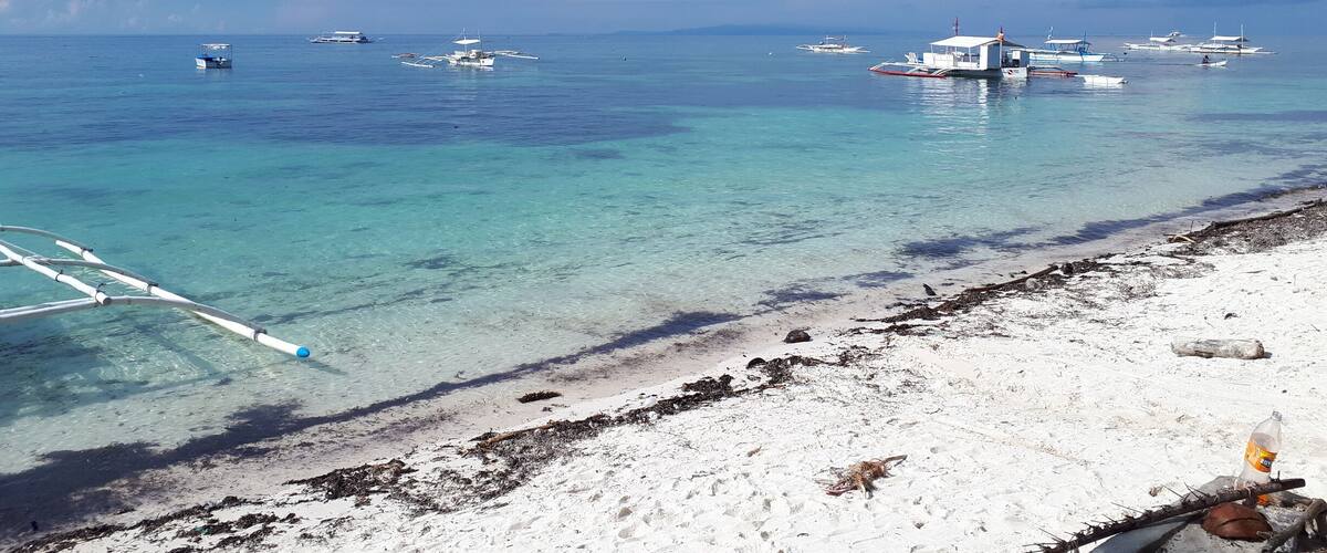 A beach with clear turquoise water, boats, and a palm tree.
