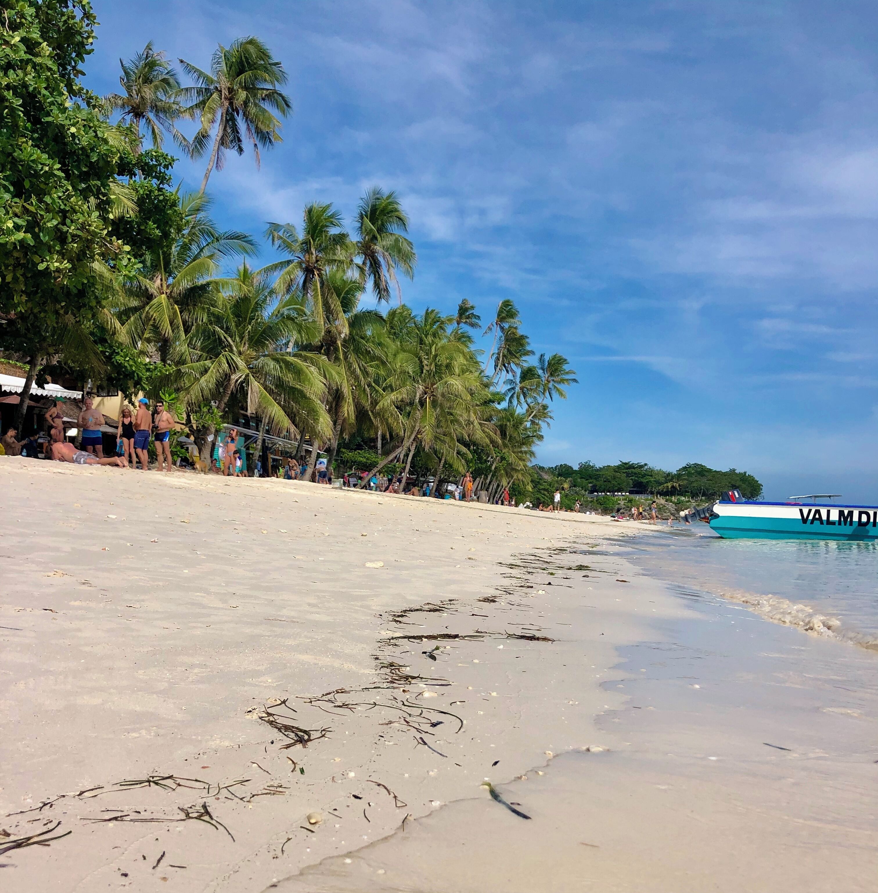 A beach with palm trees, a boat, and people.