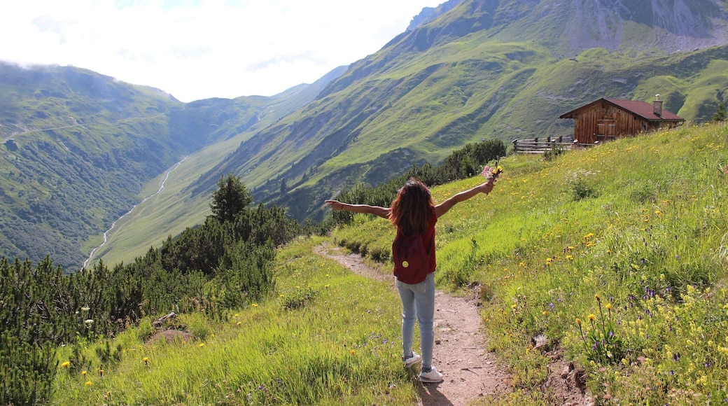 Some wonderful wild flower meadows on our way down from the top! #TakeAHike