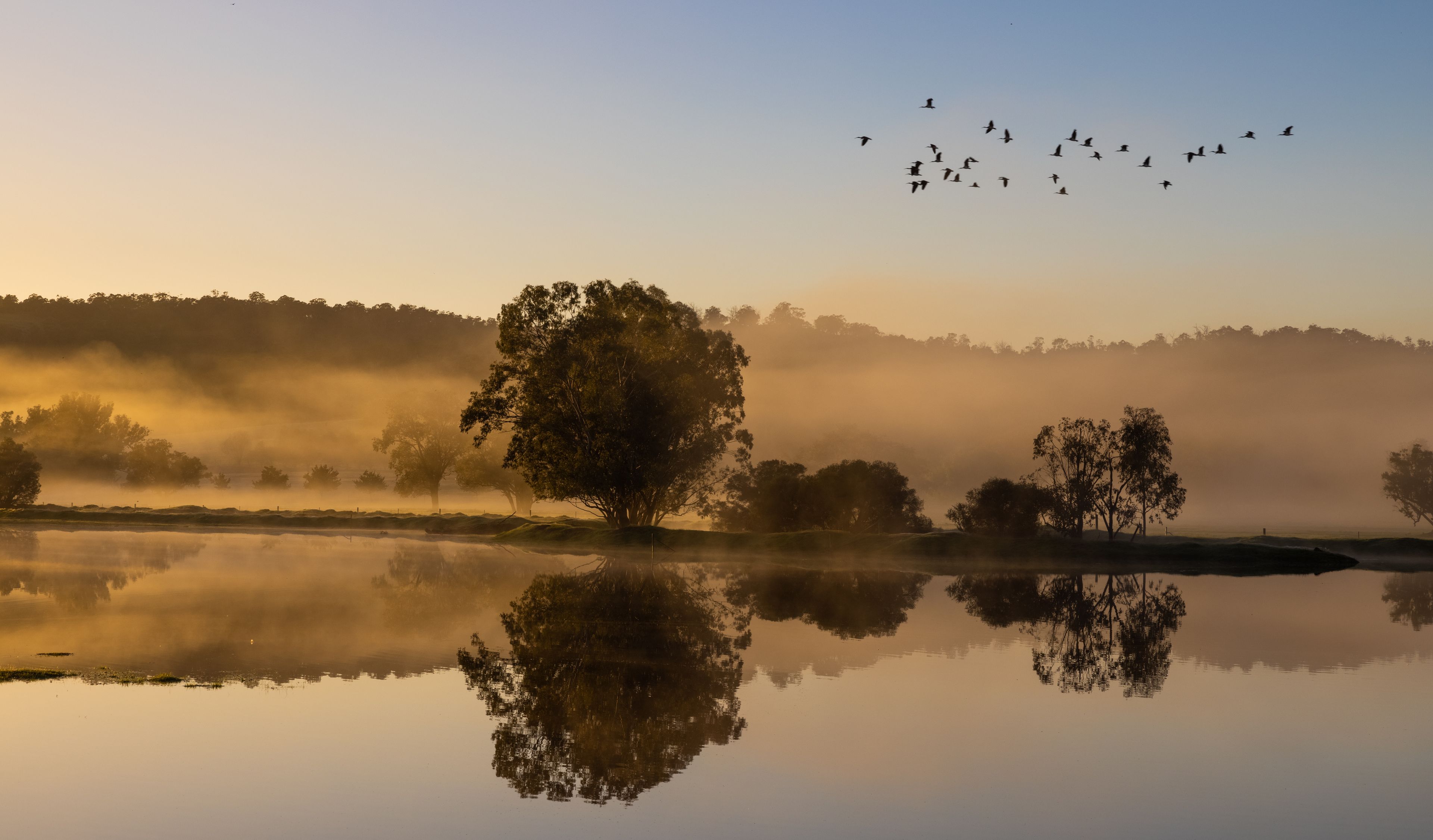 Ein ruhiger See mit Spiegelungen von Bäumen und Vögeln am Himmel.