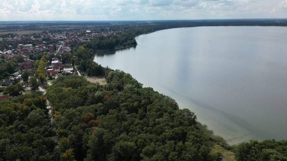 A lake surrounded by dense forest and a small town with houses and wind turbines in the distance.
