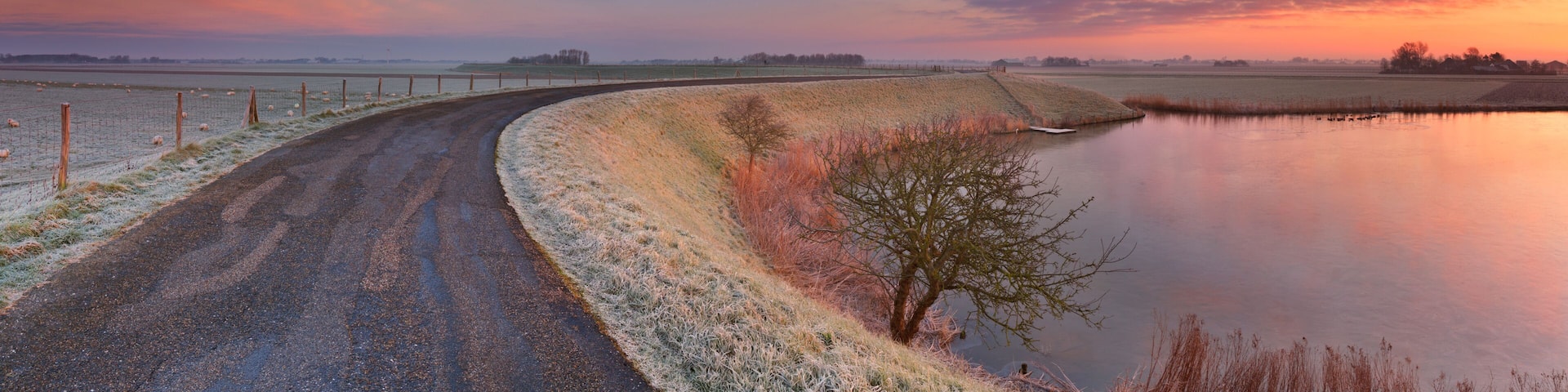 A rural landscape with a road curving alongside a body of water, fields, and a fence with sheep.