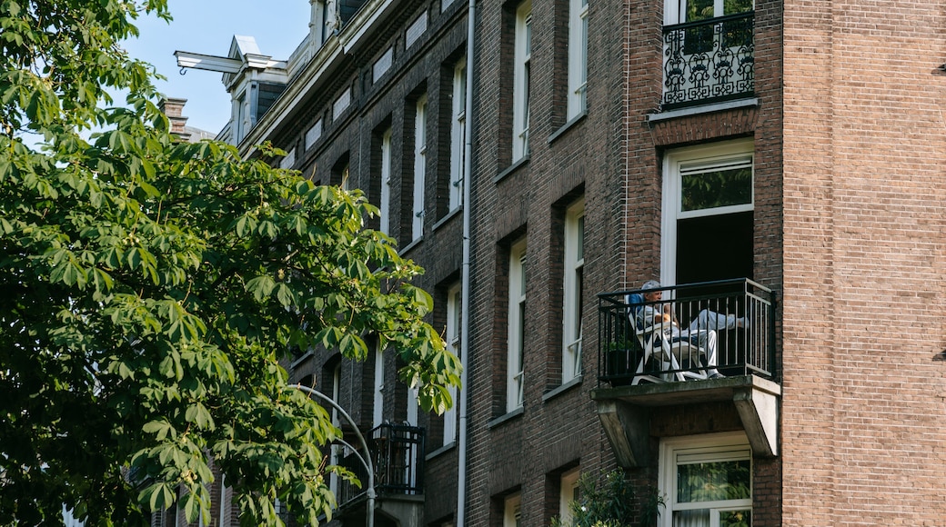 De Pijp as well as an individual male