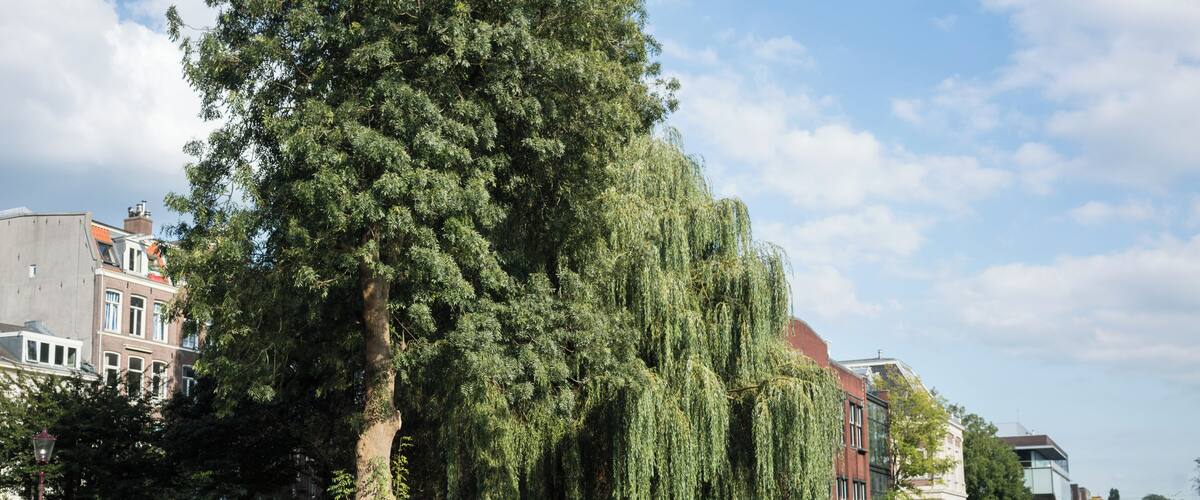 Amsterdam_PlantageEasternDocklands_6052215-7