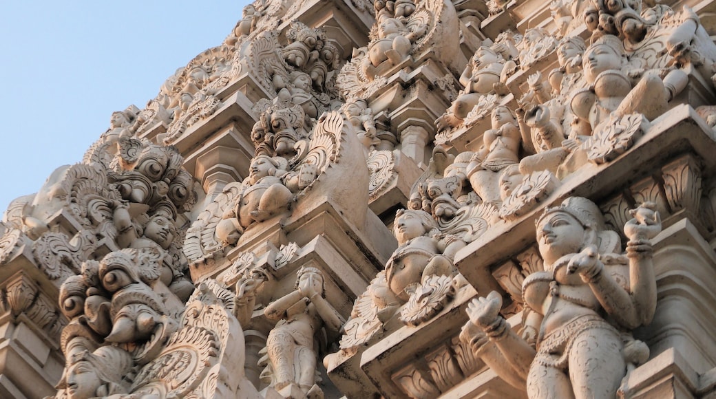 Closeup of intricate carvings on the tower of Kamakshi Temple, Kanchipuram, Tamil Nadu, India | Sri Kanchi Kamakshi Ambal Devasthanam