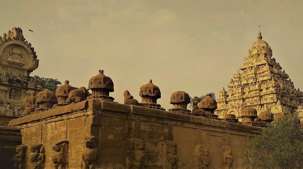 Tamilnadu kanchipuram kailasanathar temple statues