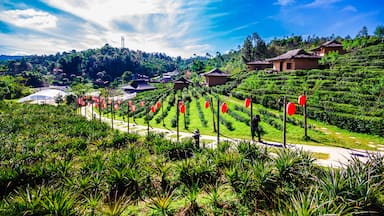 Ban Rak Thai Mae Hong Son in thailand