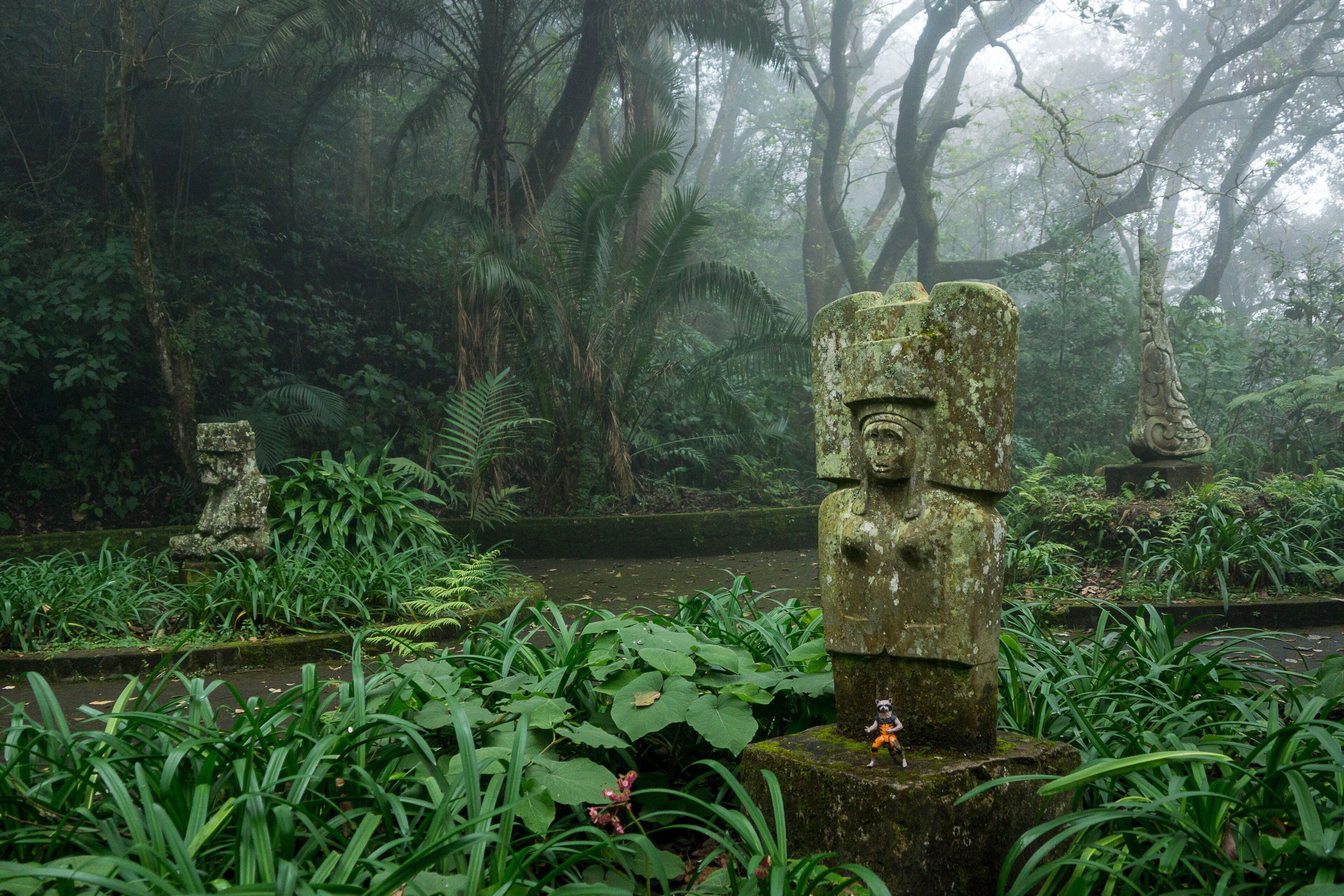 Veracruz Fog Park mexico