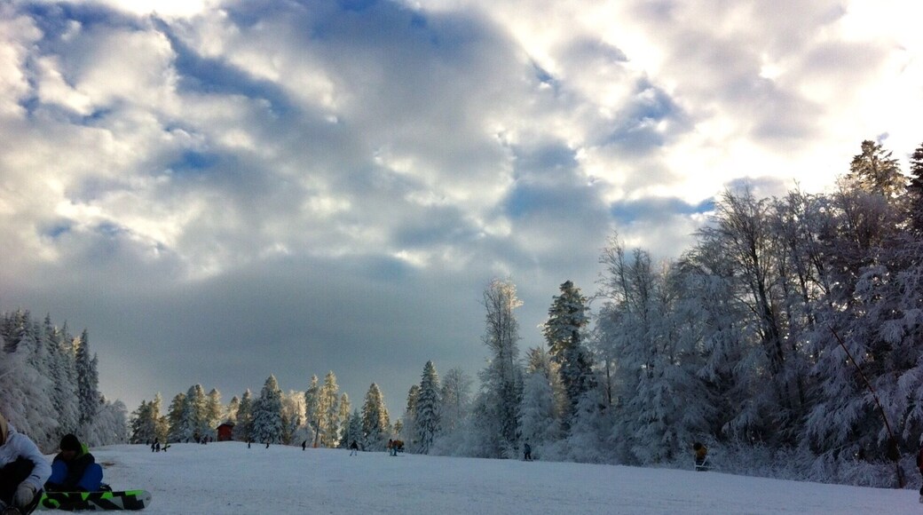 Unirii square with the gigantic monument to Matia Corvin, Romania and Hungary's hero. It won Paris World Exhibition in 1900 and it's on UNESCO list of memorial statues.
https://worldlings.wordpress.com/2016/04/27/transylvania-cluj-napoca/