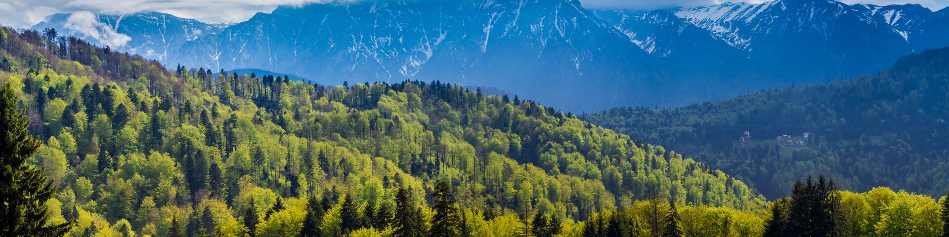 Romania, Predeal. Panorama with the snowy peaks of the Bucegi mountains and the green forests of Predeal, in springtime, when the nature comes back to life and the snow starts to melt