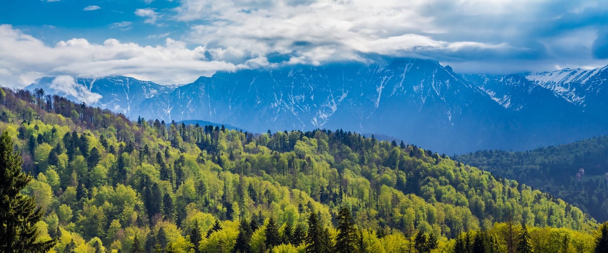 A mountainous landscape with dense forests and snow-capped peaks.