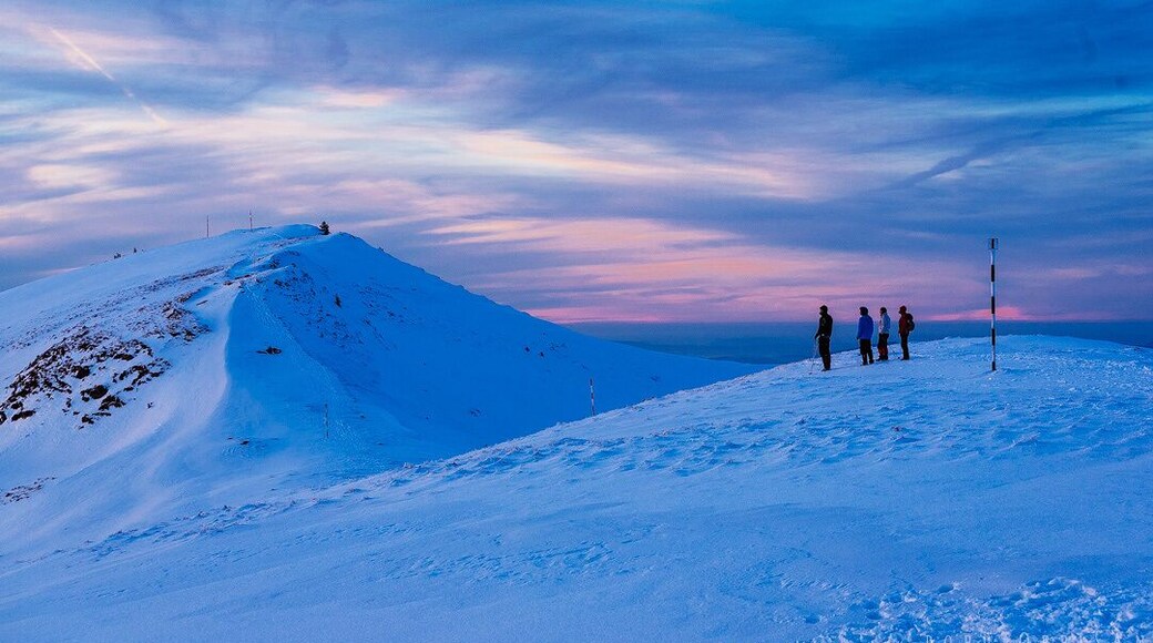 Winter trek in Piatra Mare, near Predeal, a few days ago. Great spot for views of the surrounding mountains: Bucegi, Ciucas, Postavaru and Piatra Craiului.
#winter #mountains #romania