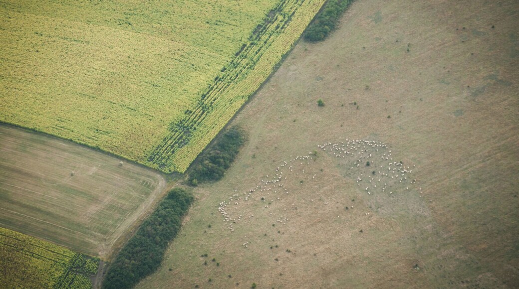 Ballooning in Transylvania... the land of the mellow hills and colourful plains, bordered by the mighty Carpathians... Where to try out one of the most beautiful experiences in your life, but at home?
P.S. How does ballooning feel like?
https://bit.ly/2WWqk39
