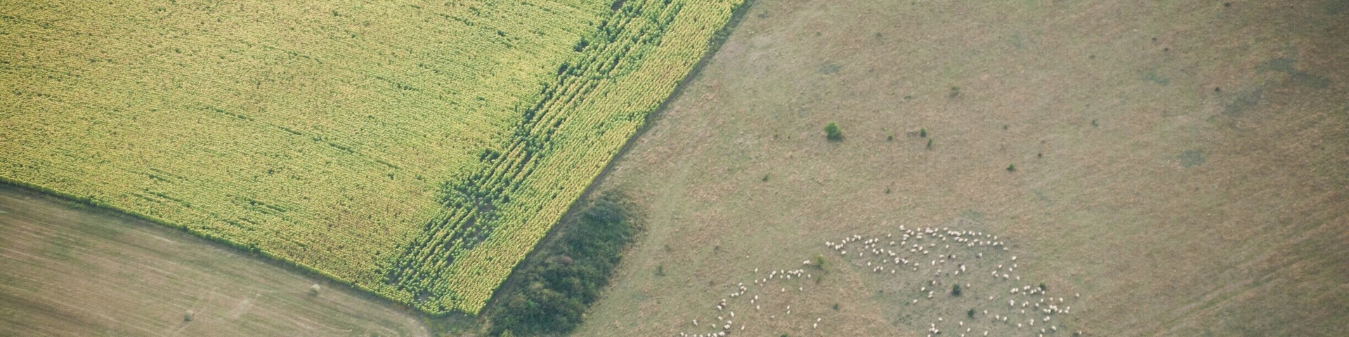 Ballooning in Transylvania... the land of the mellow hills and colourful plains, bordered by the mighty Carpathians... Where to try out one of the most beautiful experiences in your life, but at home?
P.S. How does ballooning feel like?
https://bit.ly/2WWqk39