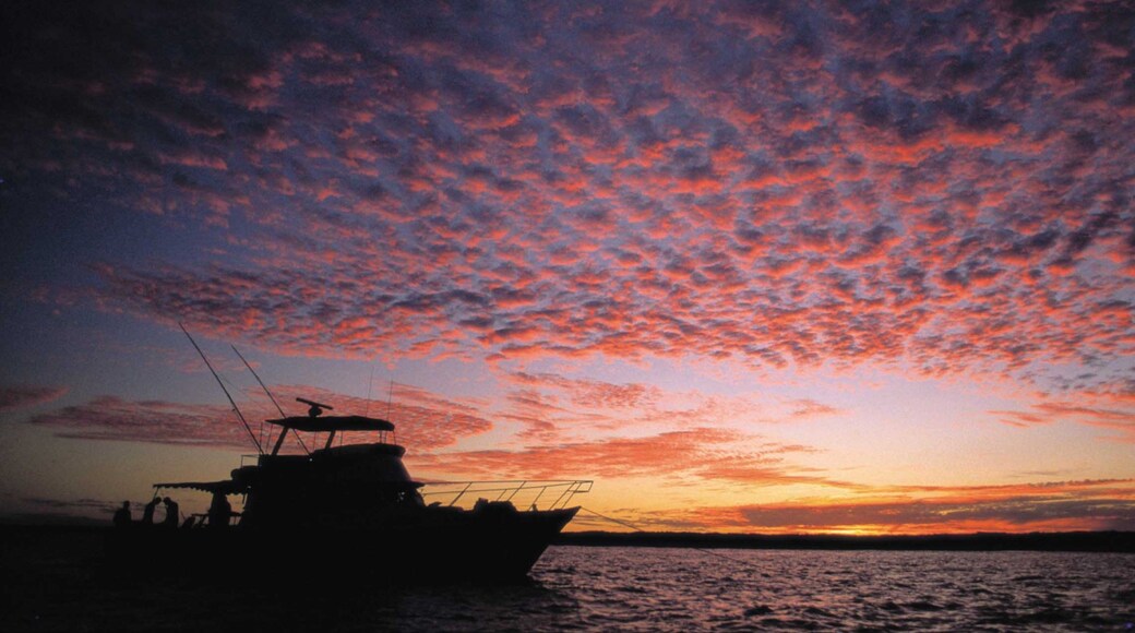Coral Coast showing a sunset and boating