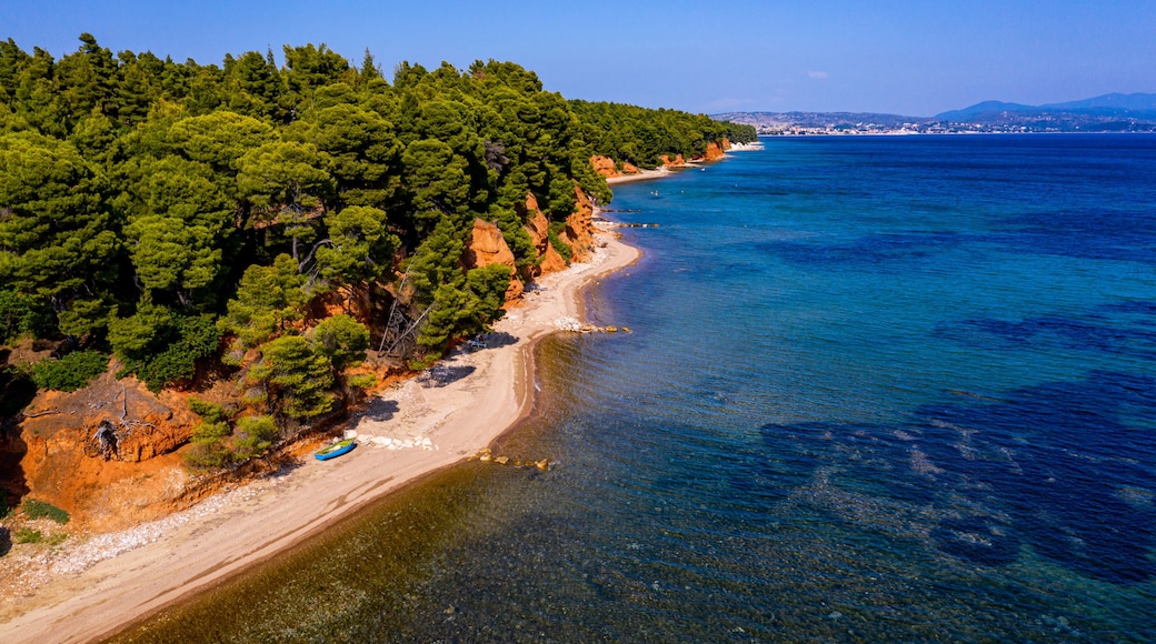 ميتامورفوسي