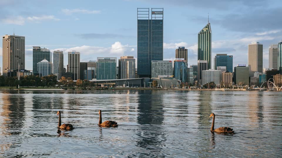 Perth Central Business District featuring a bay or harbor, a city and bird life