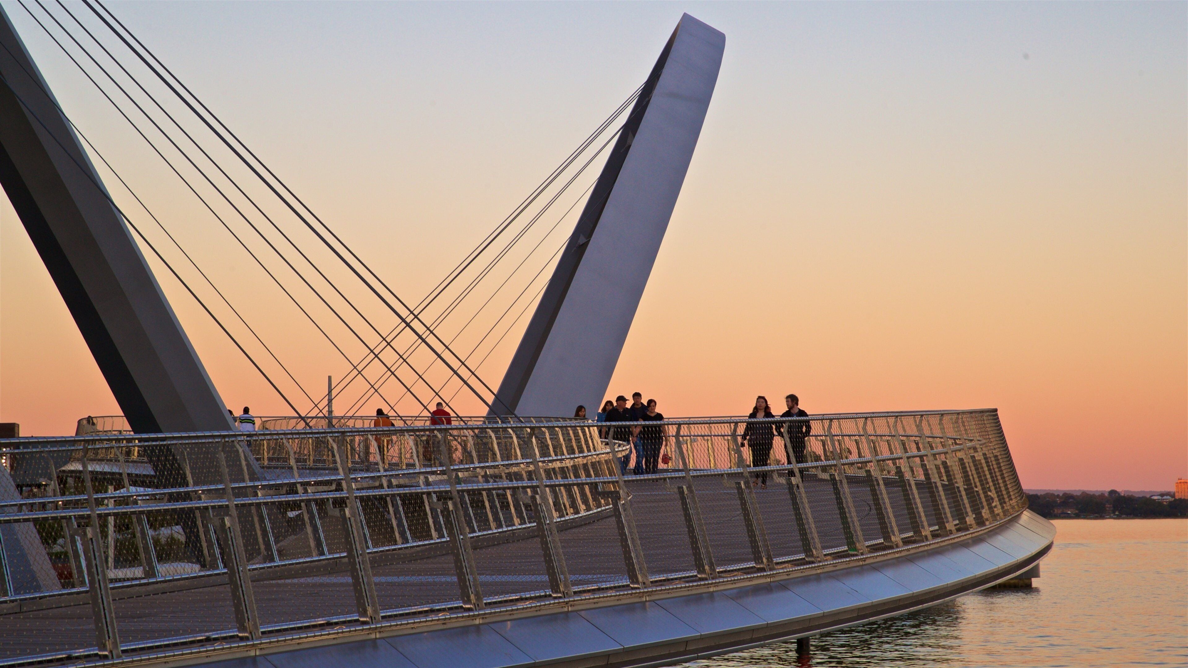 Een moderne brug met een uniek ontwerp, met grote kabels en een gebogen voetpad.