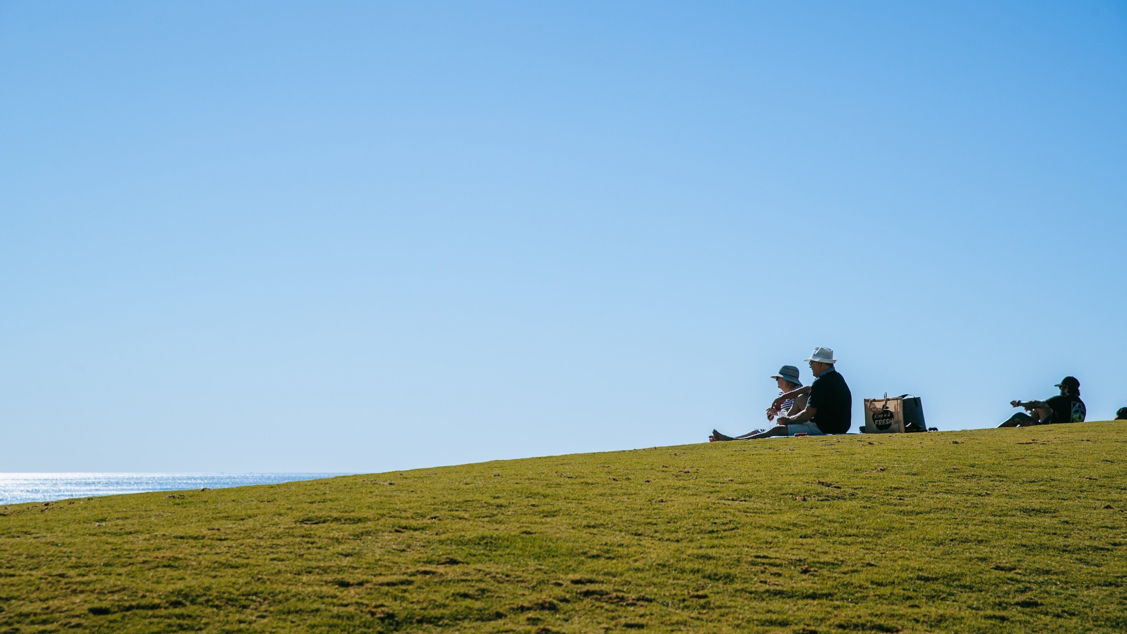 Scarborough Beach featuring a garden as well as a couple