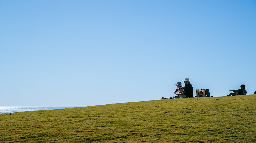 Scarborough Beach featuring a garden as well as a couple
