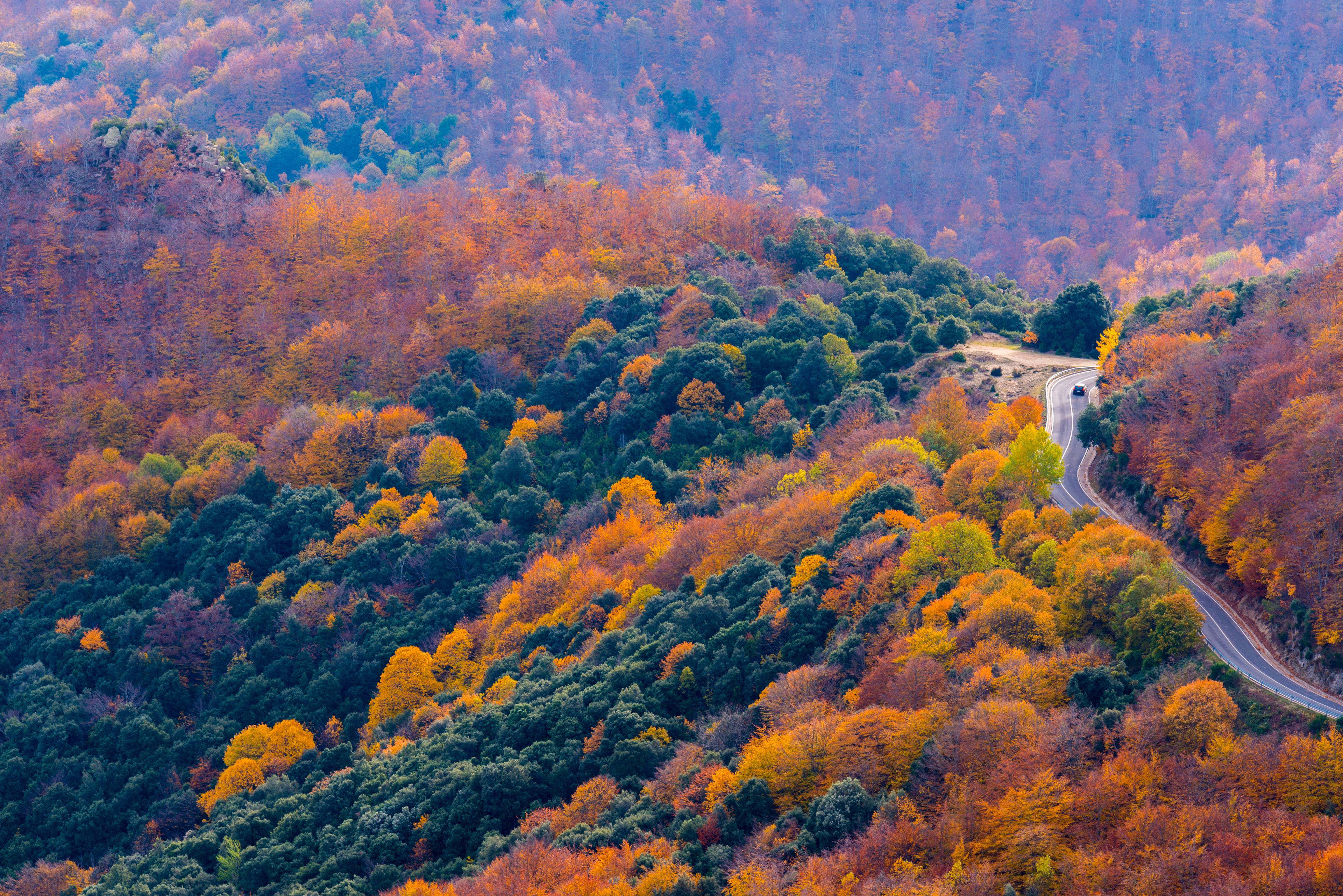 Cagar Alam Montseny