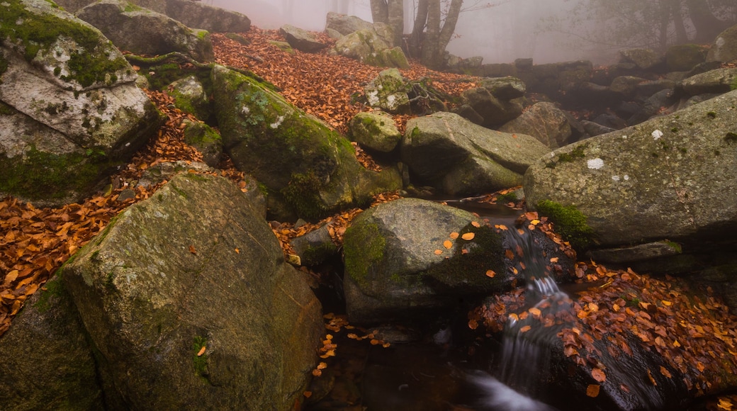 Cagar Alam Montseny