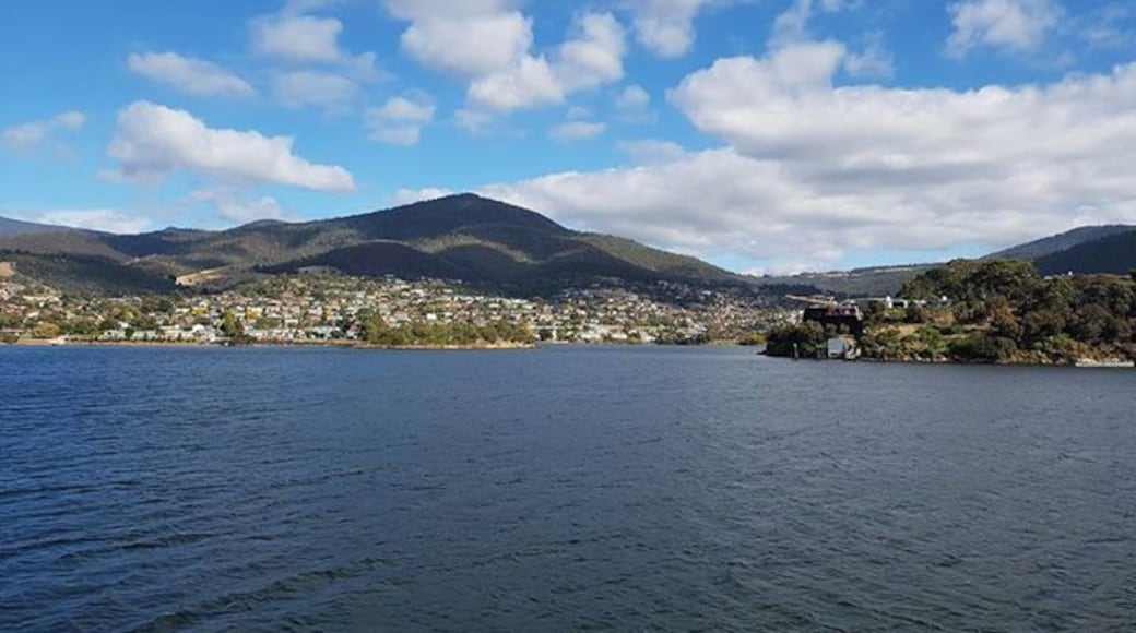 Concejo de la ciudad de Glenorchy