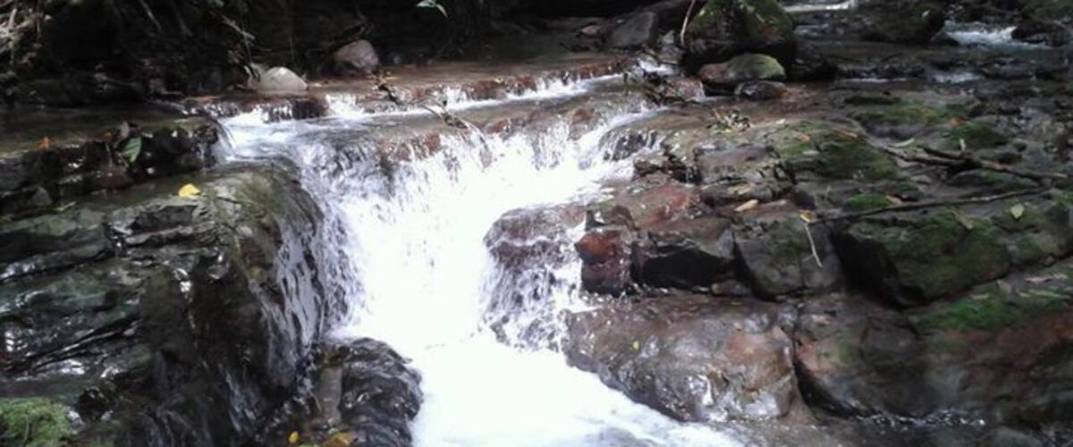 A waterfall cascading over rocks in a forested area.