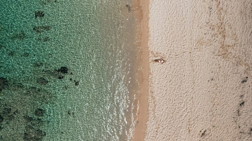 シュマン グルニエ