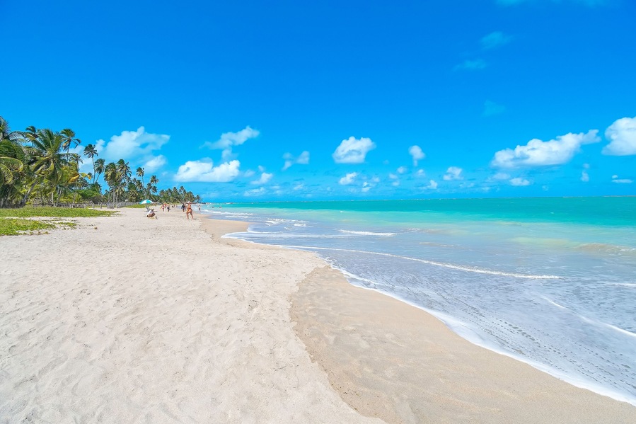 Wide view of Barra Grande beach, Maragogi - AL, Brazil. Famous beach, beautiful coastal destination of Alagoas state.