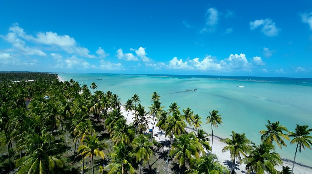 Antunes Beach In Maragogi Alagoas Brazil. Turquoise Ocean Waves Gently Crashing On Tropical Beach. Paradise Skyline Grateful Vibrant. Paradise Sea. Maragogi Alagoas.