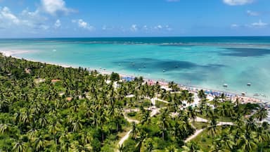 Beach Scene In Maragogi Alagoas Brazil. Aerial View Of Stunning Beach With Crystal Clear Waters. Shore Clouds Sky Beach Sea. Shore Travel. Maragogi Alagoas.