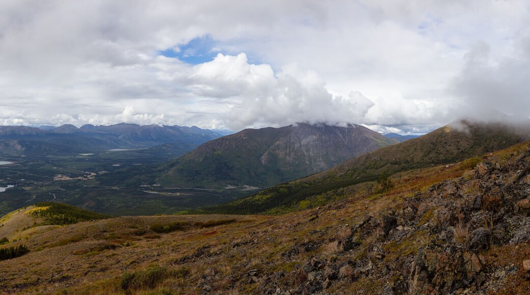 Beautiful Panoramic View of a small Touristic Town, Carcross, surounded by Canadian Mountain Landscape. Located near Whitehorse, Yukon, Canada.