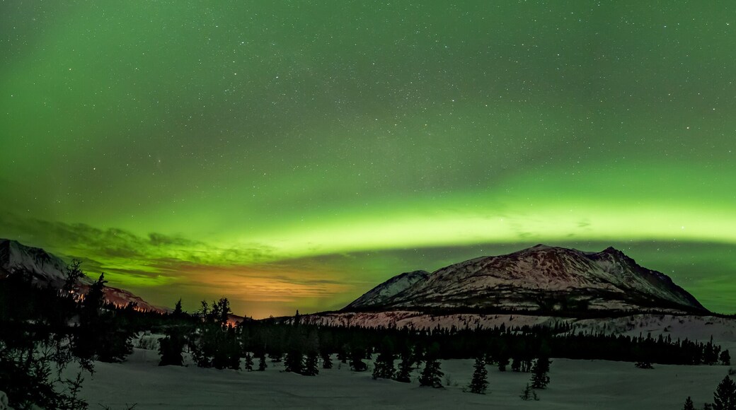 Incredible green aurora borealis seen across the Carcross Desert in northern Canada during winter time with northern lights in panorama, panoramic snow capped winter sky scenic view.