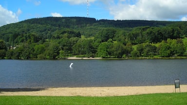 gueret courtille 84511